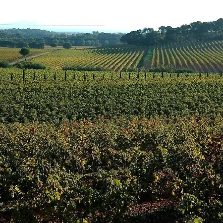 Au Chateau Maravenne *
